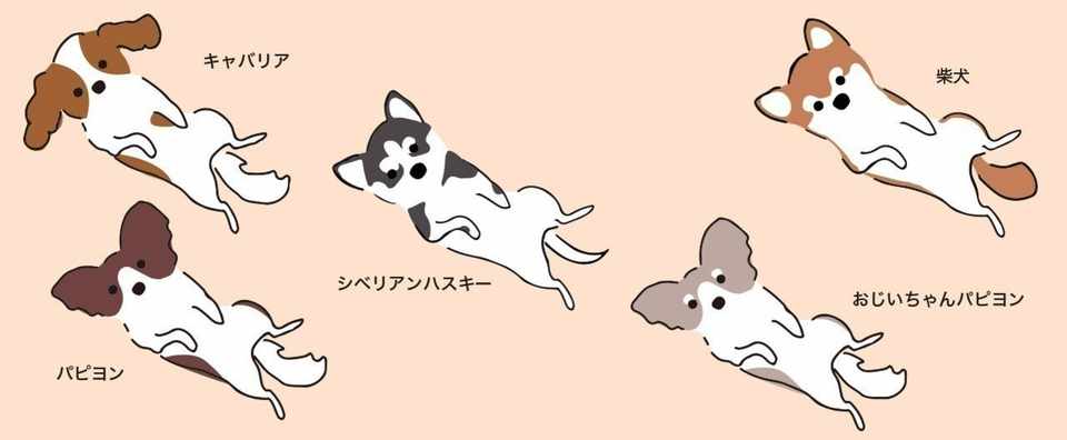 イラスト素材 仰向けに寝転がる犬5種類セット ふわそざ Note