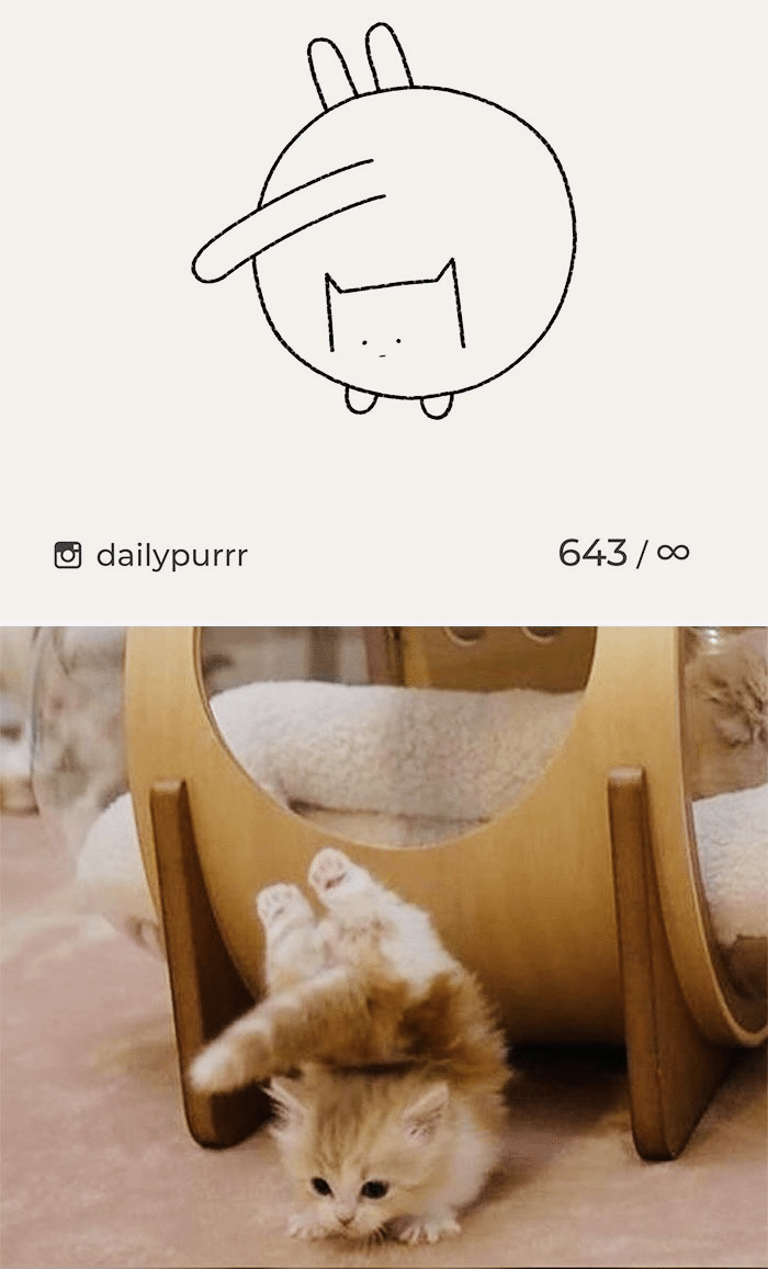 あなたを笑わせるためのおバカな猫の絵 ノリノリ Note あなたを笑わせるためのおバカな猫の絵 ノリノリ Note
