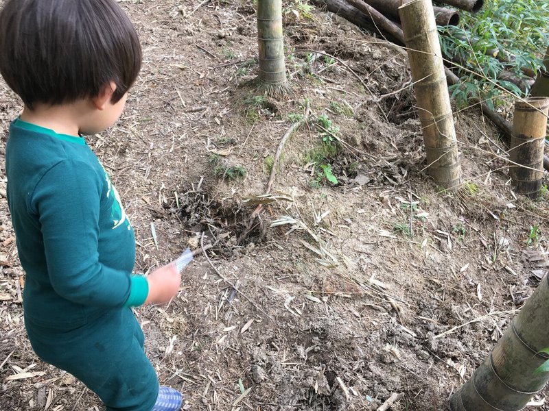 画像7