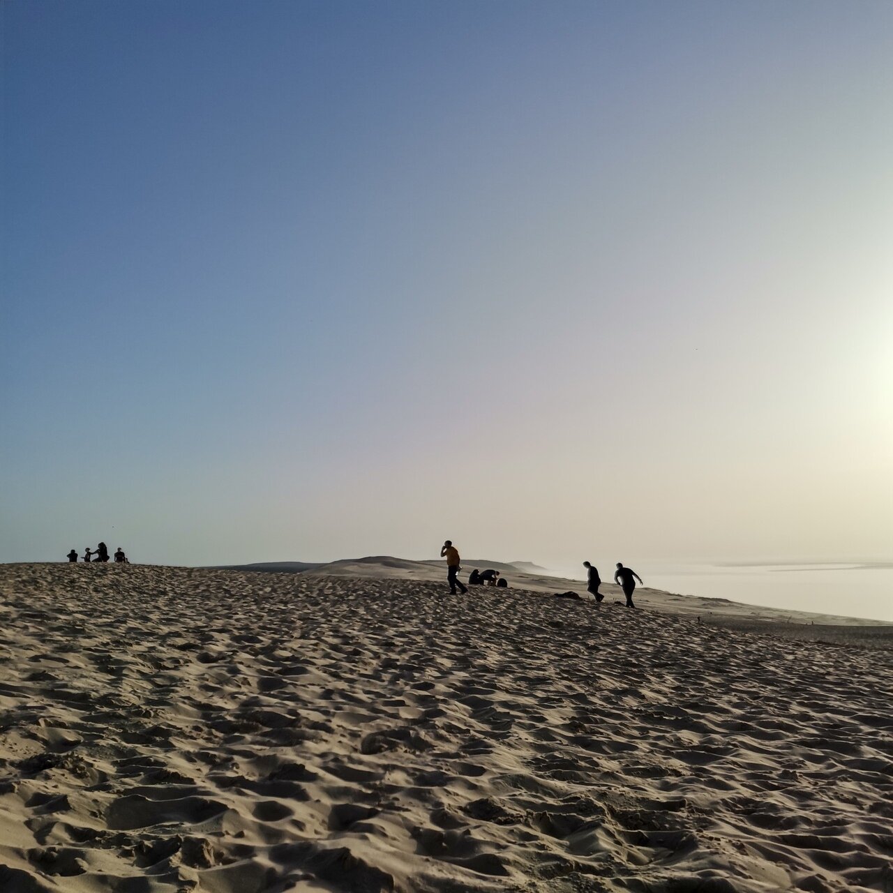 外出禁止令下のピサ砂丘 フランスのたべね通信 Note