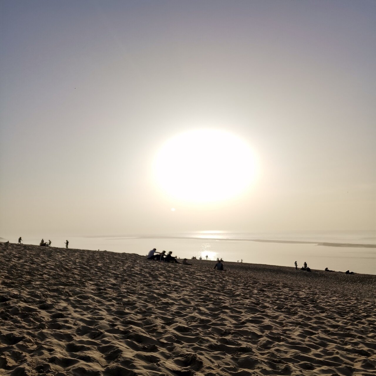 外出禁止令下のピサ砂丘 フランスのたべね通信 Note