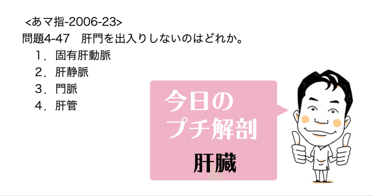 今日のプチ解剖 肝門を出入りしないのはどれ 黒澤一弘 Note