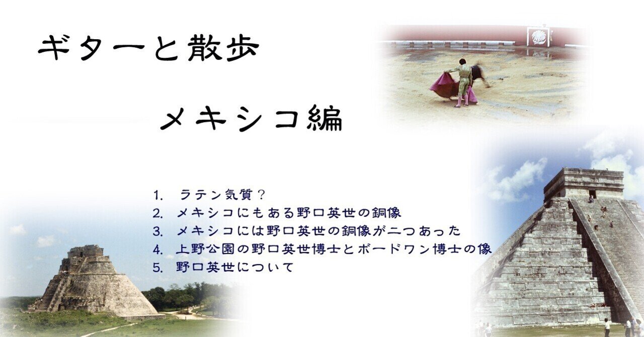 野口英世 母 手紙 訳