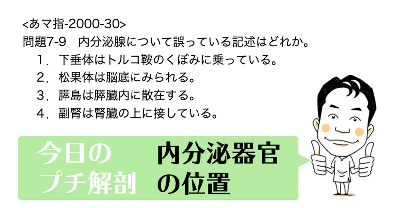 今日のプチ解剖 内分泌腺について誤っているのはどれ 黒澤一弘 Note