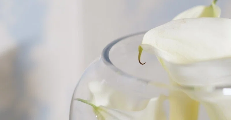 自分にだけ厳しい の新着タグ記事一覧 Note つくる つながる とどける