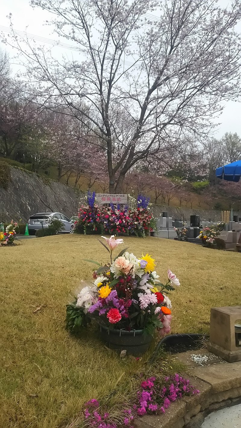 エンディングセンターの桜葬墓地＝東京都町田市で（筆者撮影）