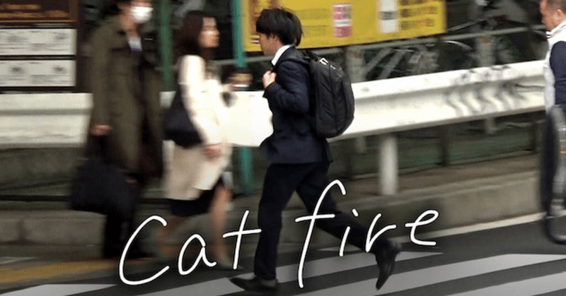 『cat fire』を観た。