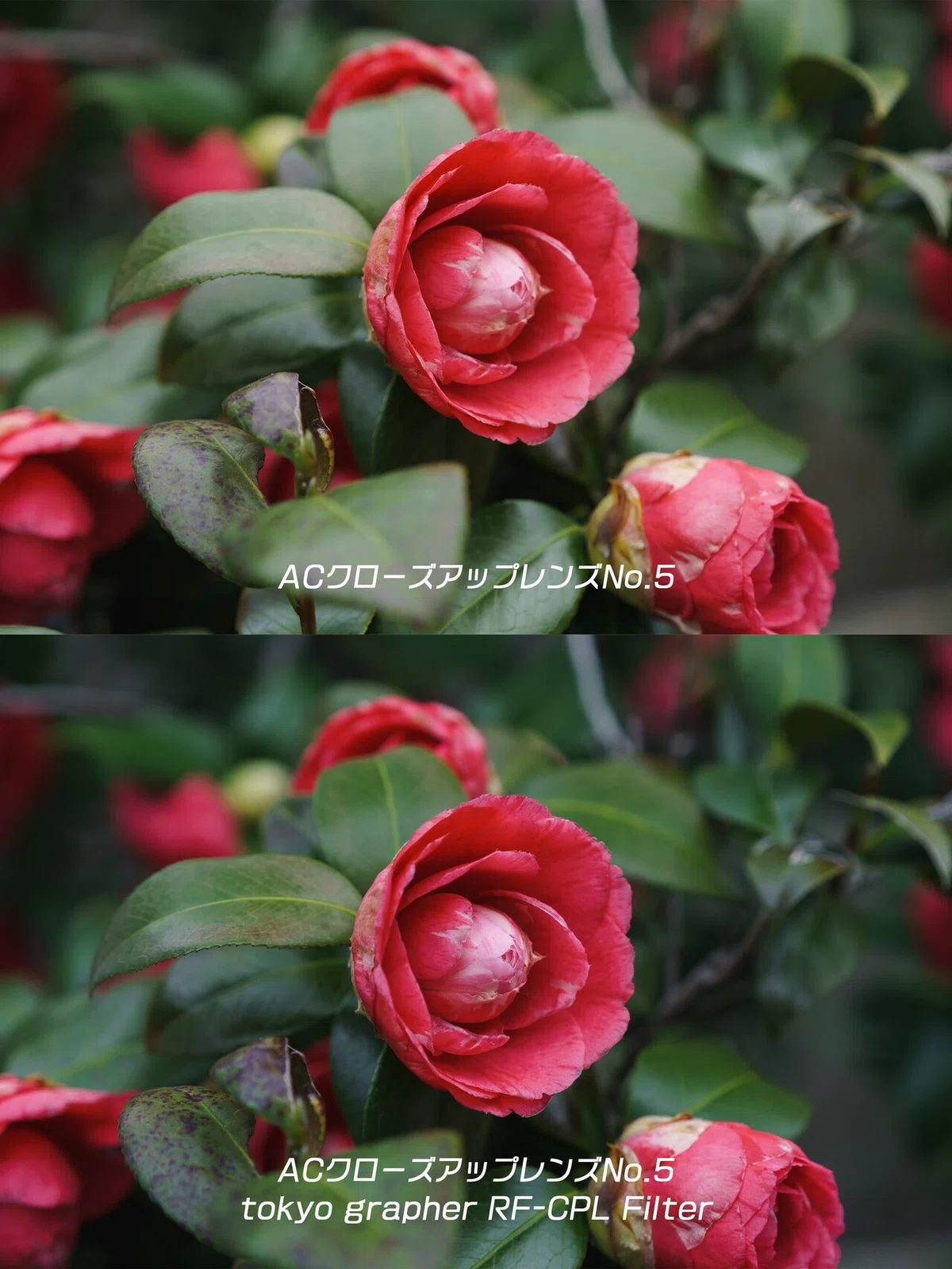 TOKYO しぶい GRAPHER RF-CPL Filter 55mm