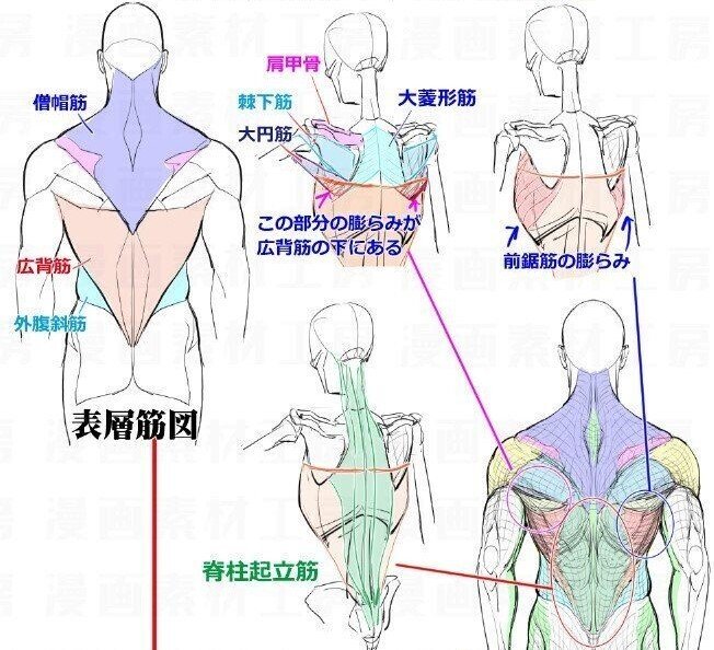 ぎっくり背中の症状と処置 鷹野琢磨 Koa Gym Trainer Note