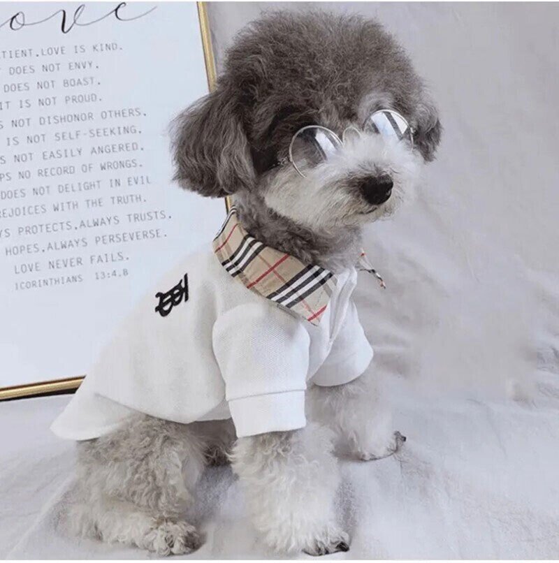 散歩ブランドburberry 猫服 犬用リードルイヴィトchanel紹介 Igucuスカーレット屋 Note 散歩ブランドburberry 猫服 犬用リードルイヴィトchanel紹介 Igucuスカーレット屋 Note