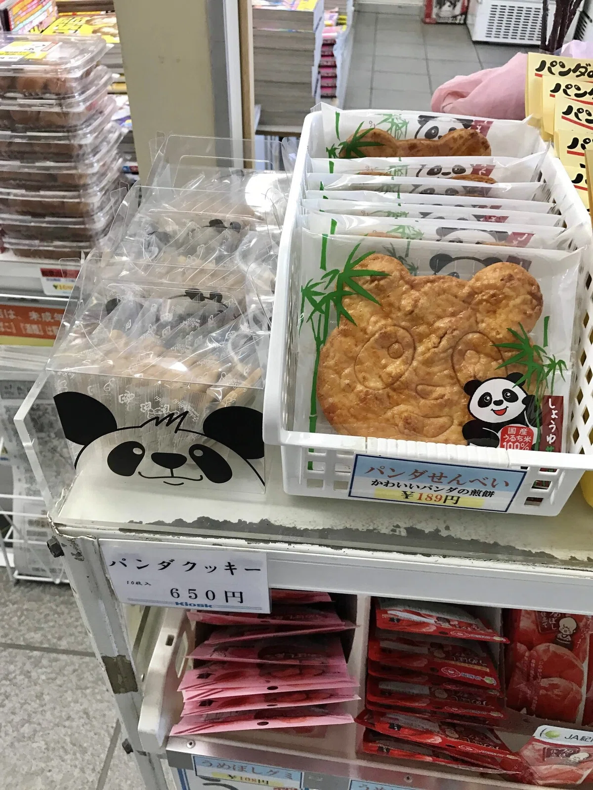 画像7