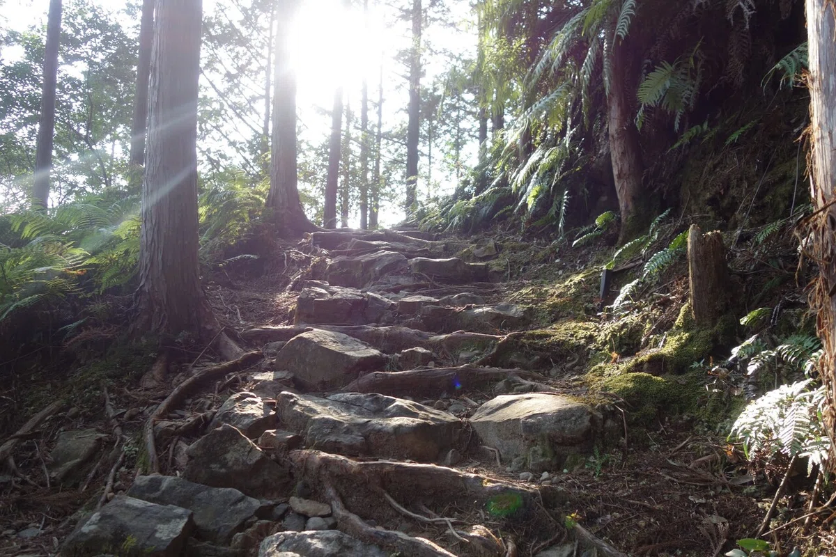 画像9