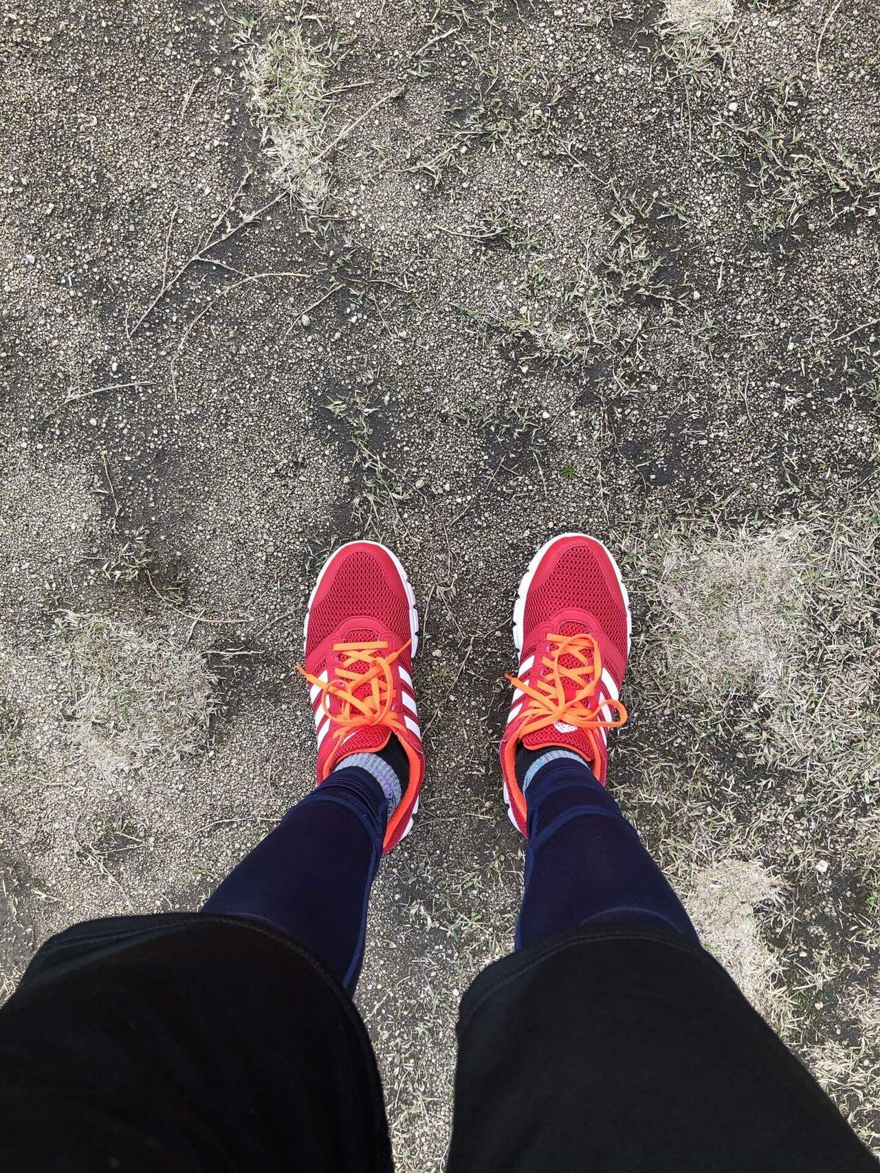 今日はランニングと懸垂と足上げ腹筋しました とても楽しかったです これからも頑張ります ランニング 筋トレ 懸垂 足 上げ腹筋 ゆっきー Note