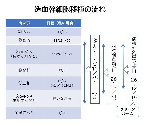 造血幹細胞移植の流れ