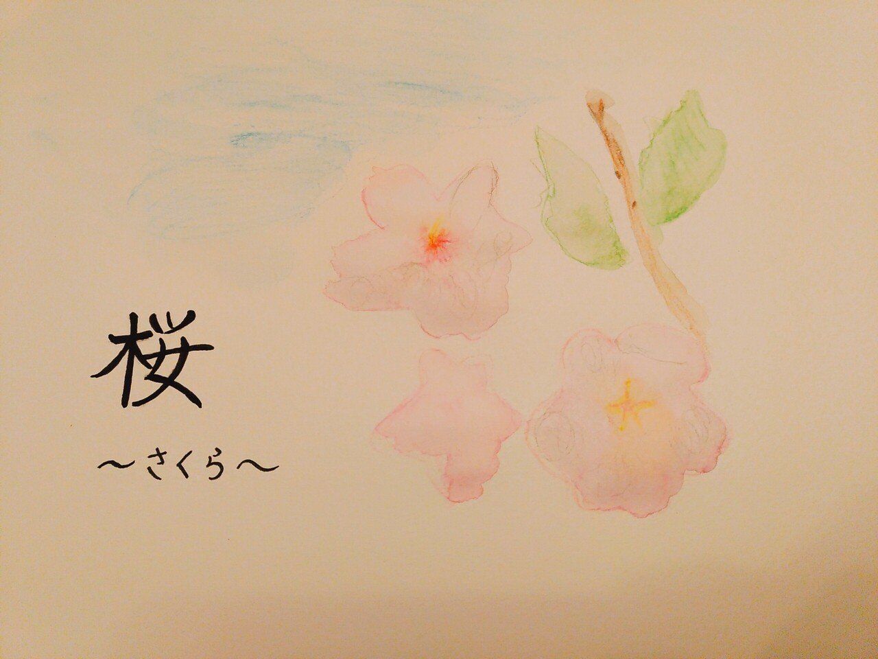 水彩色鉛筆 桜 かもみーる Note 水彩色鉛筆 桜 かもみーる Note