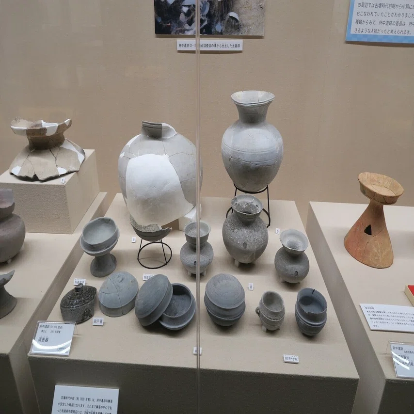 須恵器・土器を愉しむ【観覧メモ】和泉市いずみの国歴史館「泉の首長 