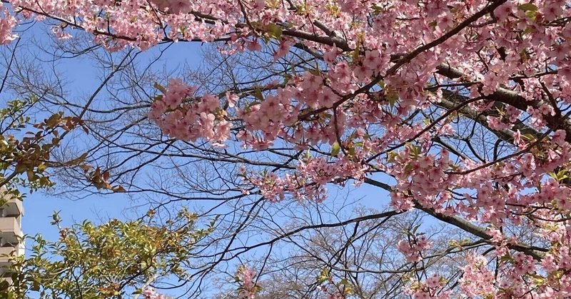 浪人しない方がいい人の特徴 アルファ Note 浪人しない方がいい人の特徴 アルファ Note