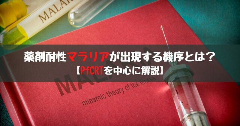 【USMLE】薬剤耐性マラリアが出現する機序とは？【PfCRTを中心に解説】