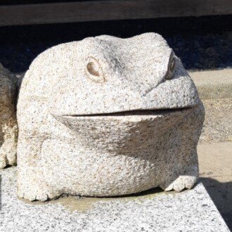 分霊箱の水 を強制的にダンブルドア先生に飲ませるシーン 嫌じゃ ハリーもう苦しいんじゃやめてくれハリー って子供帰りするみたいに嫌がって苦しんでるシーンがトラウマになってそれからハリー ポッターシリーズ 倉庫 Note