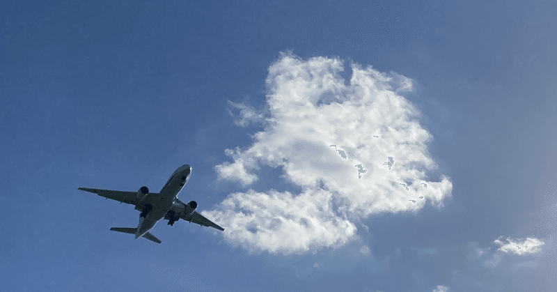 そこから始まる さかなっぱ Note