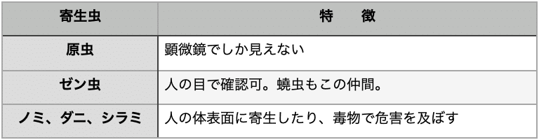 虫下しファスティングで 世界を別の角度から Chie 学ぶことは一生の宝です Note