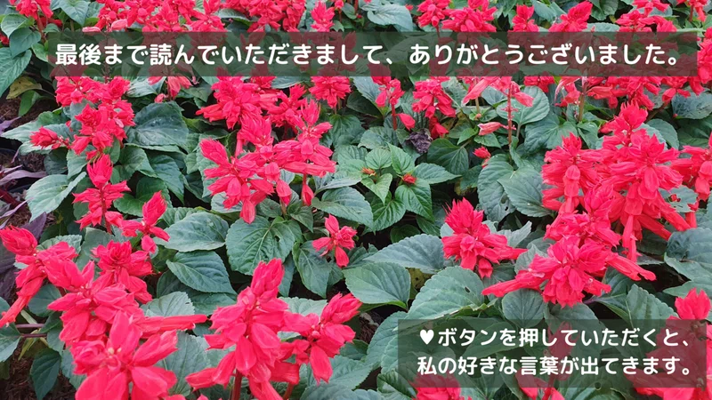 画像11