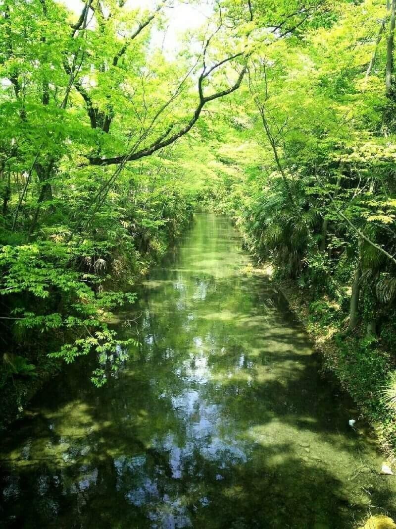 かわうその自転車屋さんワンシーンに心打たれて ちぇひめん Note かわうその自転車屋さんワンシーンに心打たれて ちぇひめん Note