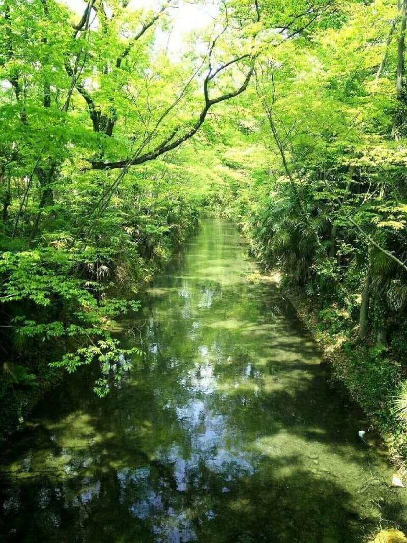 かわうその自転車屋さんワンシーンに心打たれて ちぇひめん Note