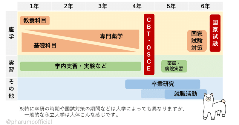 薬学部 6年間の全体像 薬学部ってこんな感じ 株式会社ファルモ 薬局ict 医療系人材ベンチャー Note