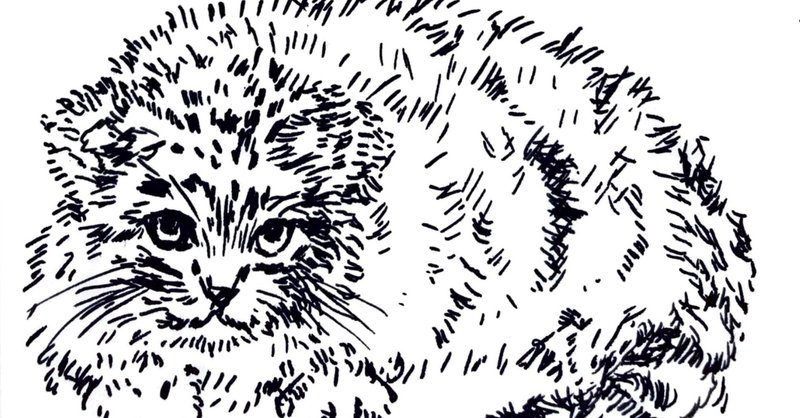 もしゃもしゃ動物の絵84 ペン画 マヌルネコさん かよん Note