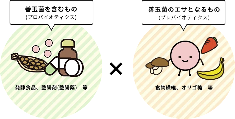 プロバイオティクスとプレバイオティクス