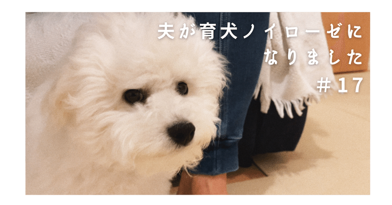 夫が育犬ノイローゼになりました ボナママ Note 夫が育犬ノイローゼになりました ボナママ Note