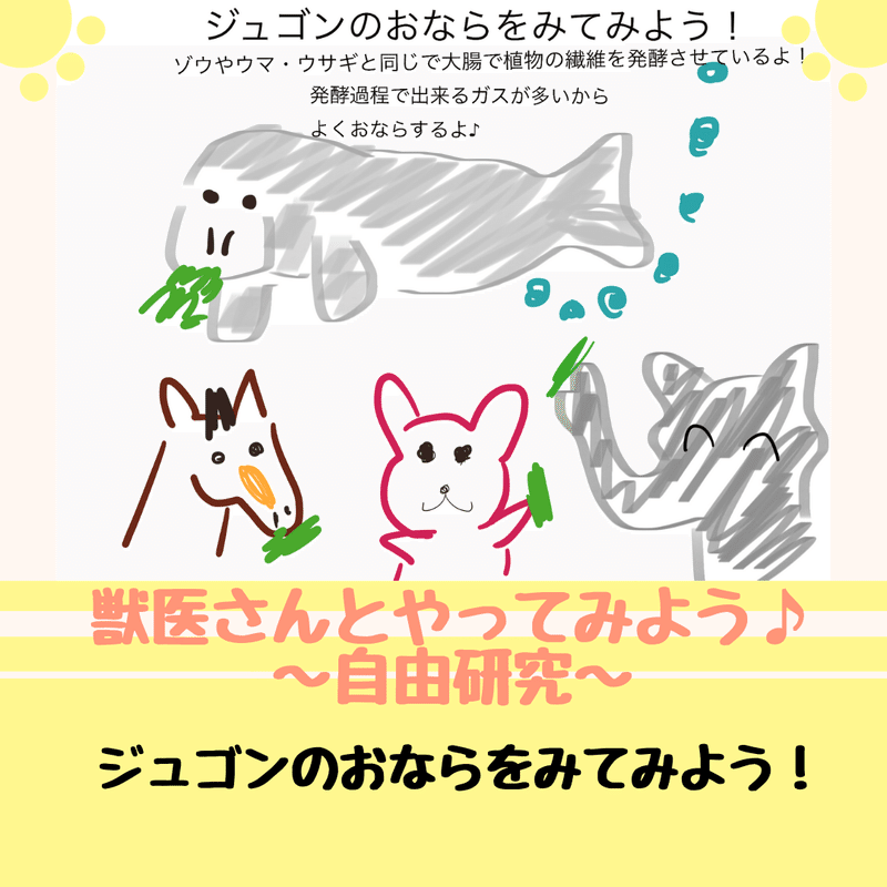 ジュゴンのおならをみてみよう 獣医師ふーの 獣医さんとやってみよう自由研究 Note ジュゴンのおならをみてみよう 獣医師ふーの 獣医さんとやってみよう自由研究 Note
