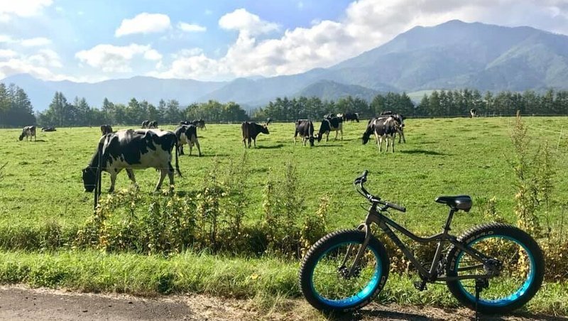 サイクルツーリズム　日高山脈と牛