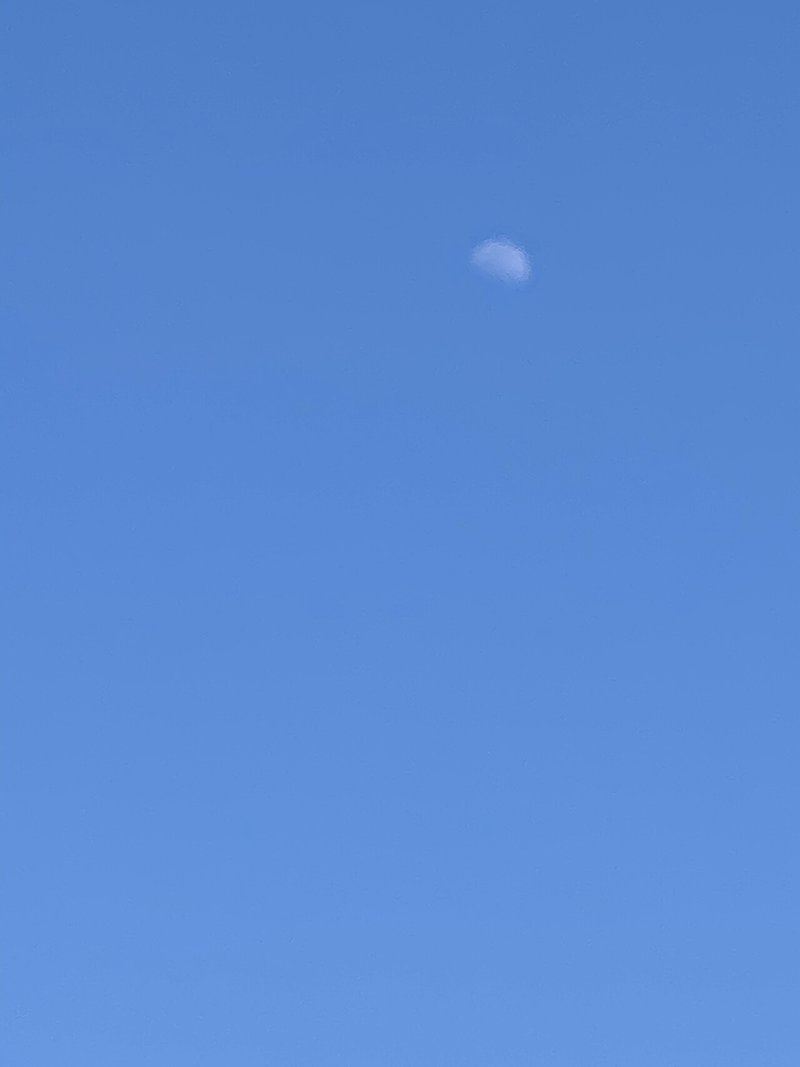 日中の月 昼間の月 ツル Note 日中の月 昼間の月 ツル Note