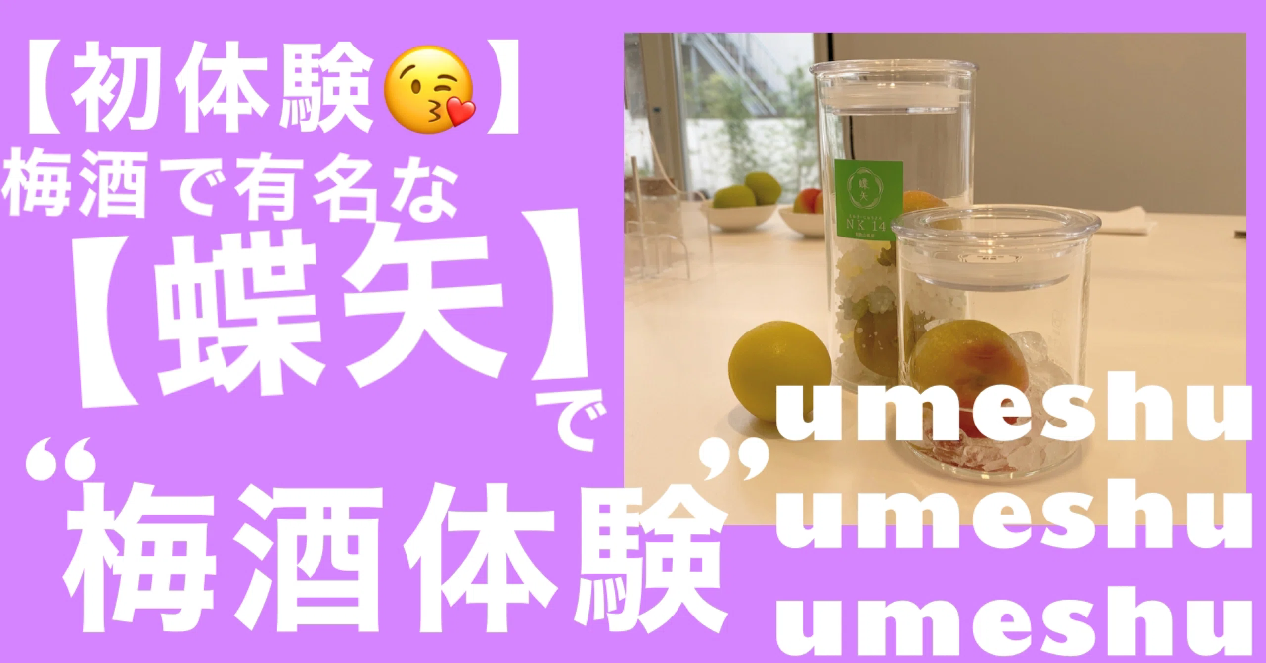 梅酒作り 鎌倉にある蝶矢で梅シロップ 梅酒作り体験 Orcn1021 Note