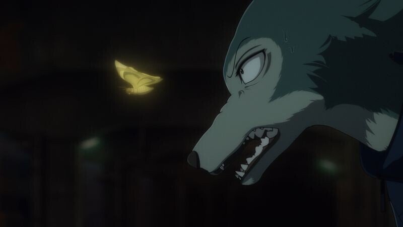 Beastars 第2期第24話 最終話 先行カットを公開 Koe Note 声ノート Note Beastars 第2期第24話 最終話 先行カットを公開 Koe Note 声ノート Note