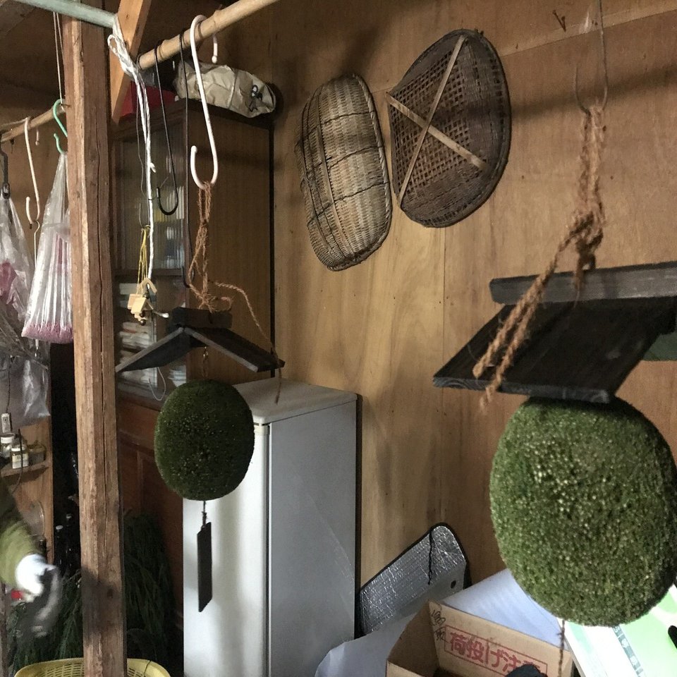 杉玉づくり」をご紹介！作り方も紹介！｜クレコ・ラボの智頭研究所