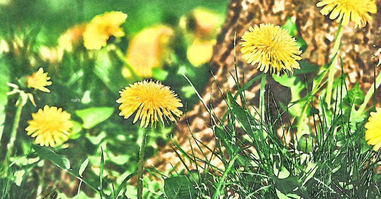 3月23日 誕生花は蒲公英 誕生花短歌 御子柴 流歌 Note 3月23日 誕生花は蒲公英 誕生花短歌 御子柴 流歌 Note