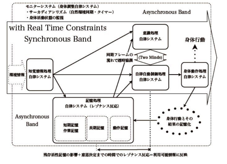 TKBrainModelMHPRT日本語