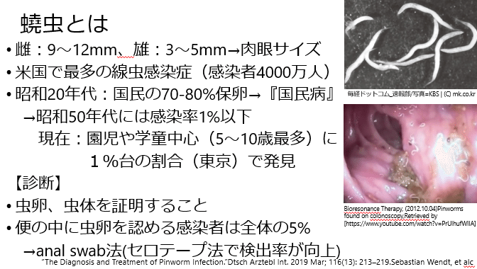 蟯虫感染症について研修医の羽渕先生が発表してくれました 聖隷浜松病院 総合診療内科 Note