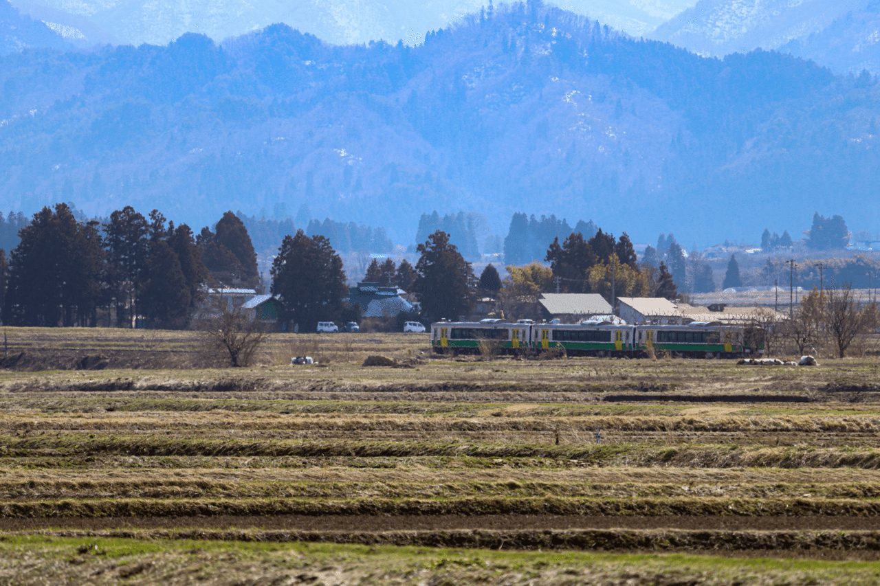 23 03 21 居残りしている白鳥を撮っていたら遠くで動くものが 目を凝らしてみれば なんと只見線でした ちょうど桧ノ目踏切の近くにいたの です １日７本しか走らない列車との遭遇に大興奮 誰も 会津美里町 地域おこし協力隊 松本 Note