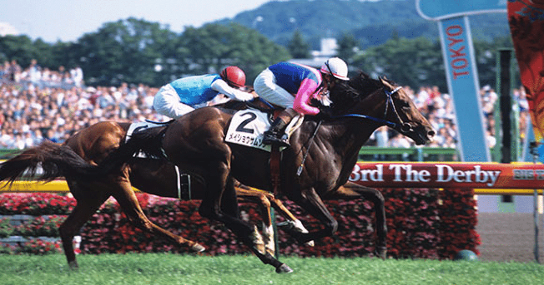 ダービー馬メイショウサムソン馬名入りイタリアングラス