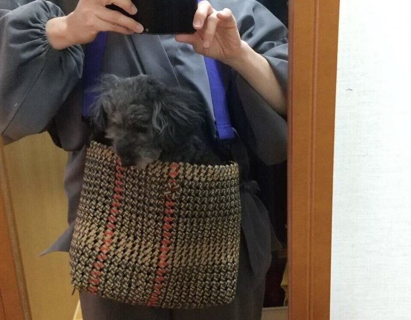 本人なのか 本犬なのか はたまた本官 もうあかんわ日記 岸田 奈美 本人なのか 本犬なのか はたまた本官 もうあかんわ日記 岸田 奈美