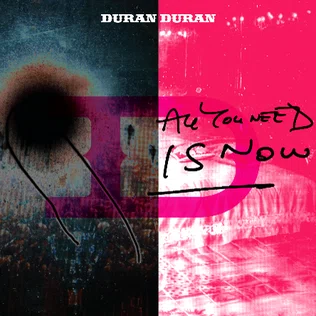 祝！ サブスク解禁】【今のうちに聴こう】Duran Duran / All You Need 