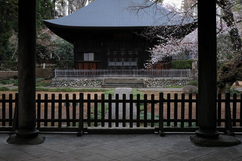 八王子市広園寺の山桜 もとき Note 八王子市広園寺の山桜 もとき Note