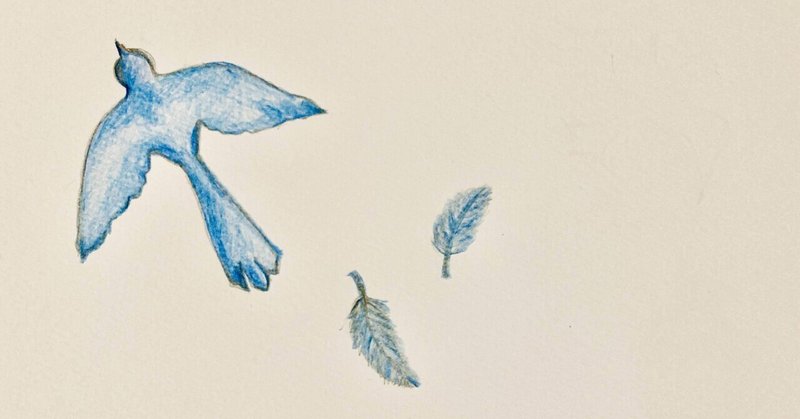 空白の鳥 の新着タグ記事一覧 Note つくる つながる とどける