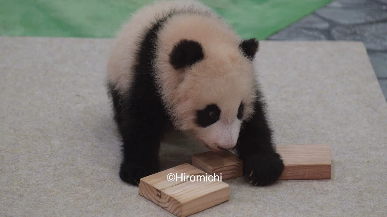 画像10