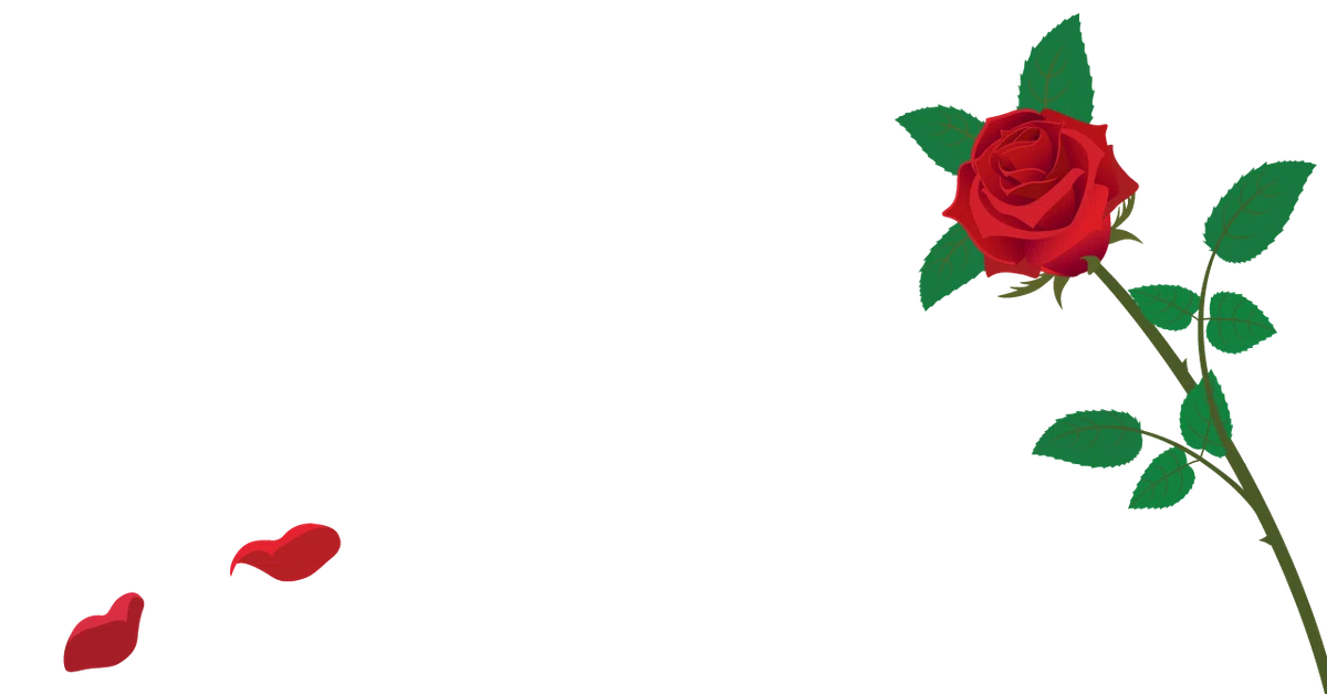 ばらcanva
