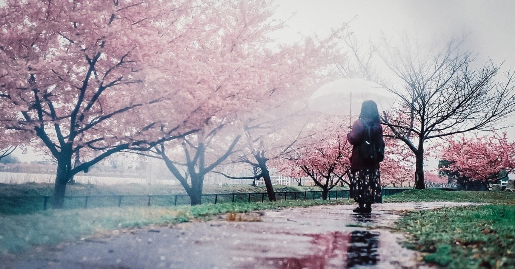 11. 宇多田ヒカル - SAKURAドロップス（恋愛と痛み）｜音楽と今の私の